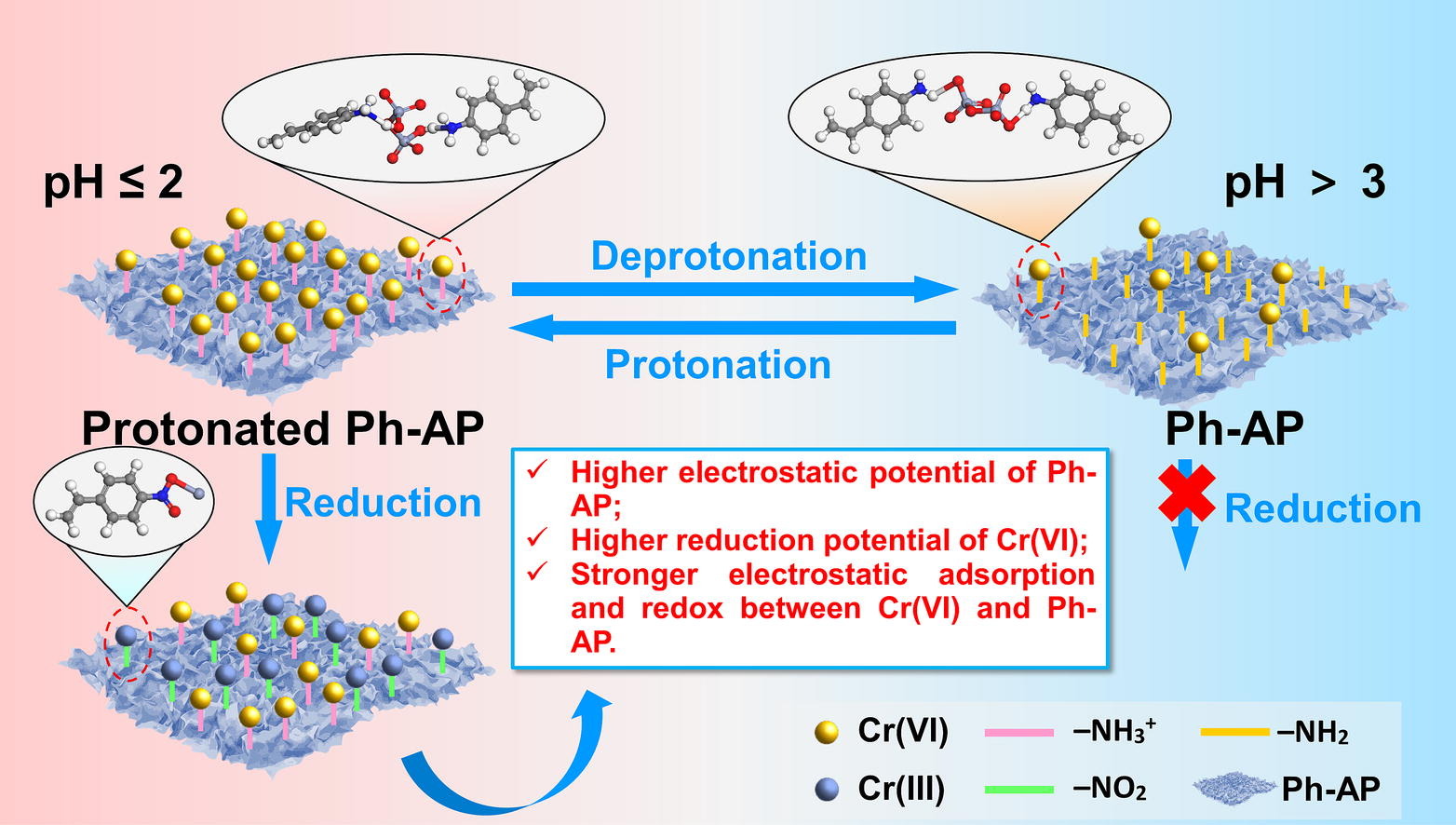 Insights into the proton-enhanced mechanism of hexavalent chromium removal by amine polymers in strong acid wastewater: Reduction of hexavalent chromium and sequestration of trivalent chromium paper illustration